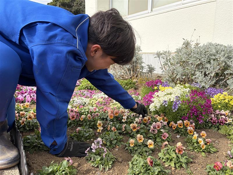 Image - 2026-02-04T180340.279